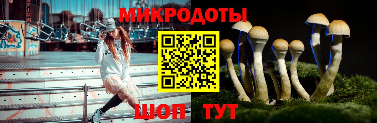 Псилоцибиновые грибы мухоморы  Галлюциногенные грибы Psilocybine cubensis  Избербаш  Вход с VPN 